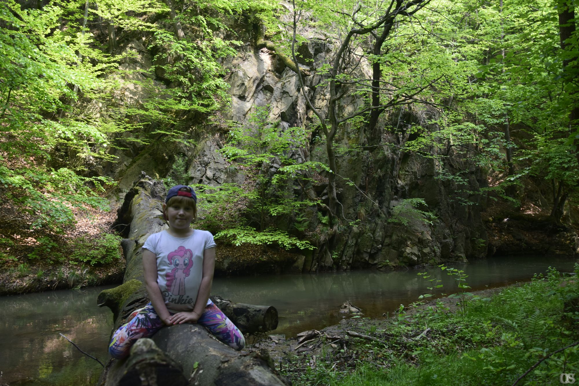 Sciezka Hochbergow 29.jpg